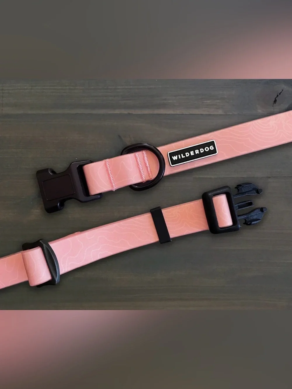 New Wilderdog GUAVA WATERPROOF COLLAR